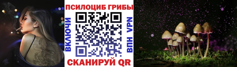 Галлюциногенные грибы MAGIC MUSHROOMS Змеиногорск